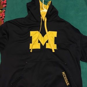 Michigan Hoody